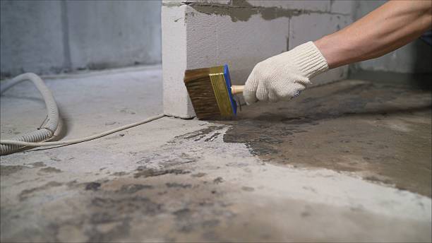 Top rated local Basement Waterproofing specialists in Vardaman, MS